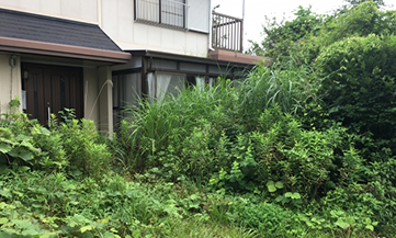 土地所有権問題